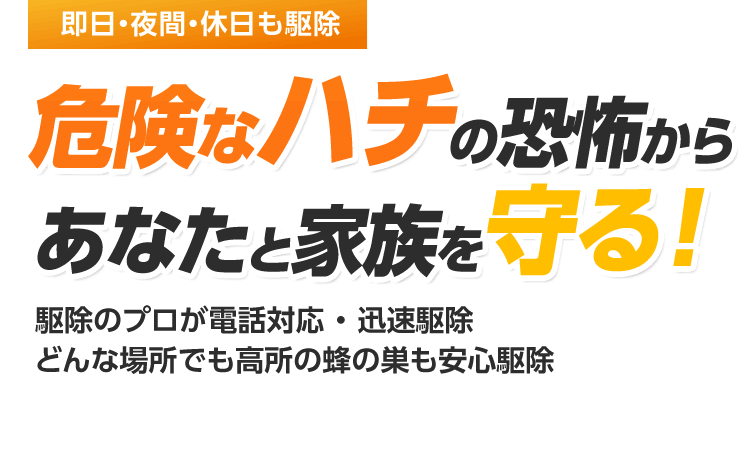 即日 夜間 休日も駆除 危険なハチの恐怖からあなたと家族を守る!駆除のプロが電話対応で迅速駆除 屋根裏・高所・見えない蜂の巣も安心駆除