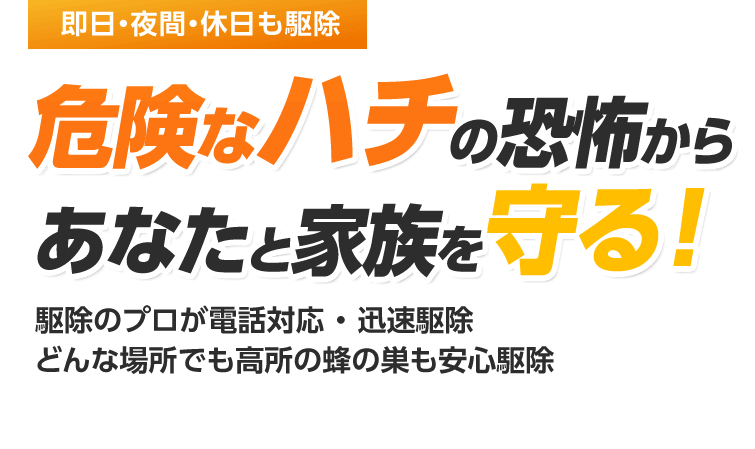 即日 夜間 休日も駆除 危険なハチの恐怖からあなたと家族を守る！駆除のプロが電話対応で迅速駆除　屋根裏・高所・見えない蜂の巣も安心駆除