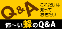 Q&A　これだけは知っておきたい！怖～い蜂のQ&A