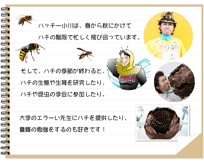 ハッチー小川は、春から秋にかけて八の駆除で忙しく飛び回っています。そして、ハチの季節が終ると、ハチの生態や生育を研究したり、ハチや昆虫の学会に参加したり。大学のエラーい先生にハチを提供したり、養蜂の勉強をするのも好きです！